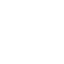 icons8-shield-64-inv